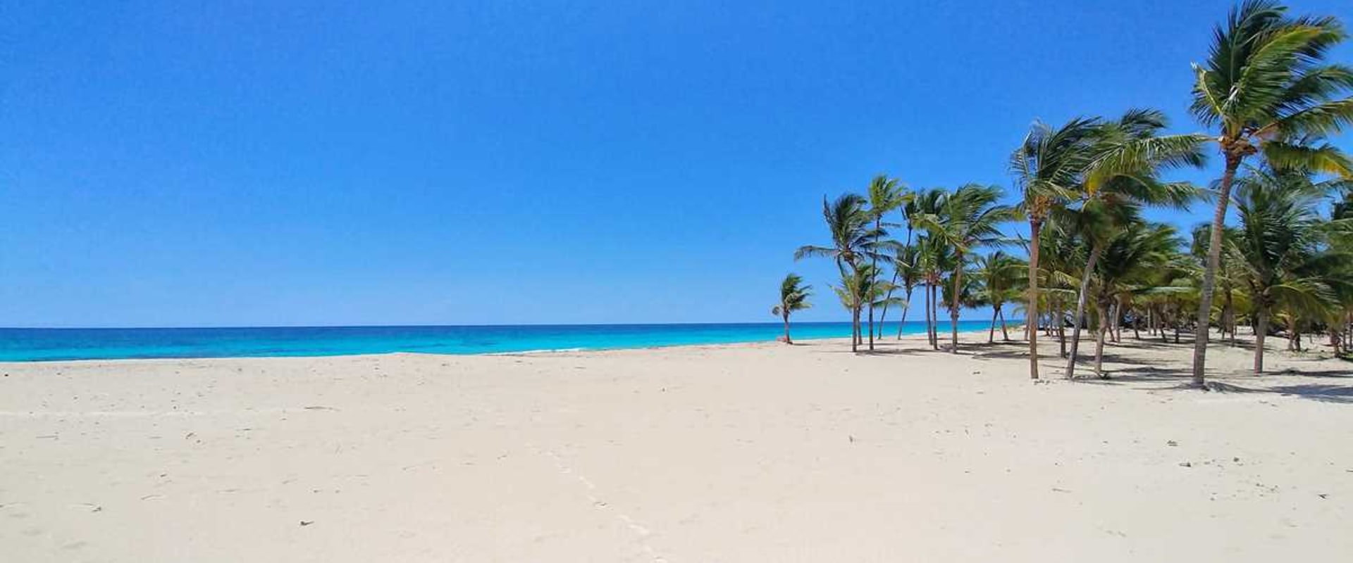 What is the Weather Like in Punta Cana?