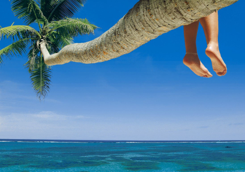 what is the best month to go to punta cana?